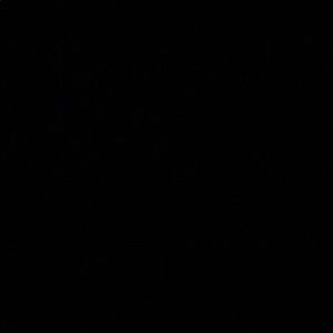 Meet your Posher, Marques